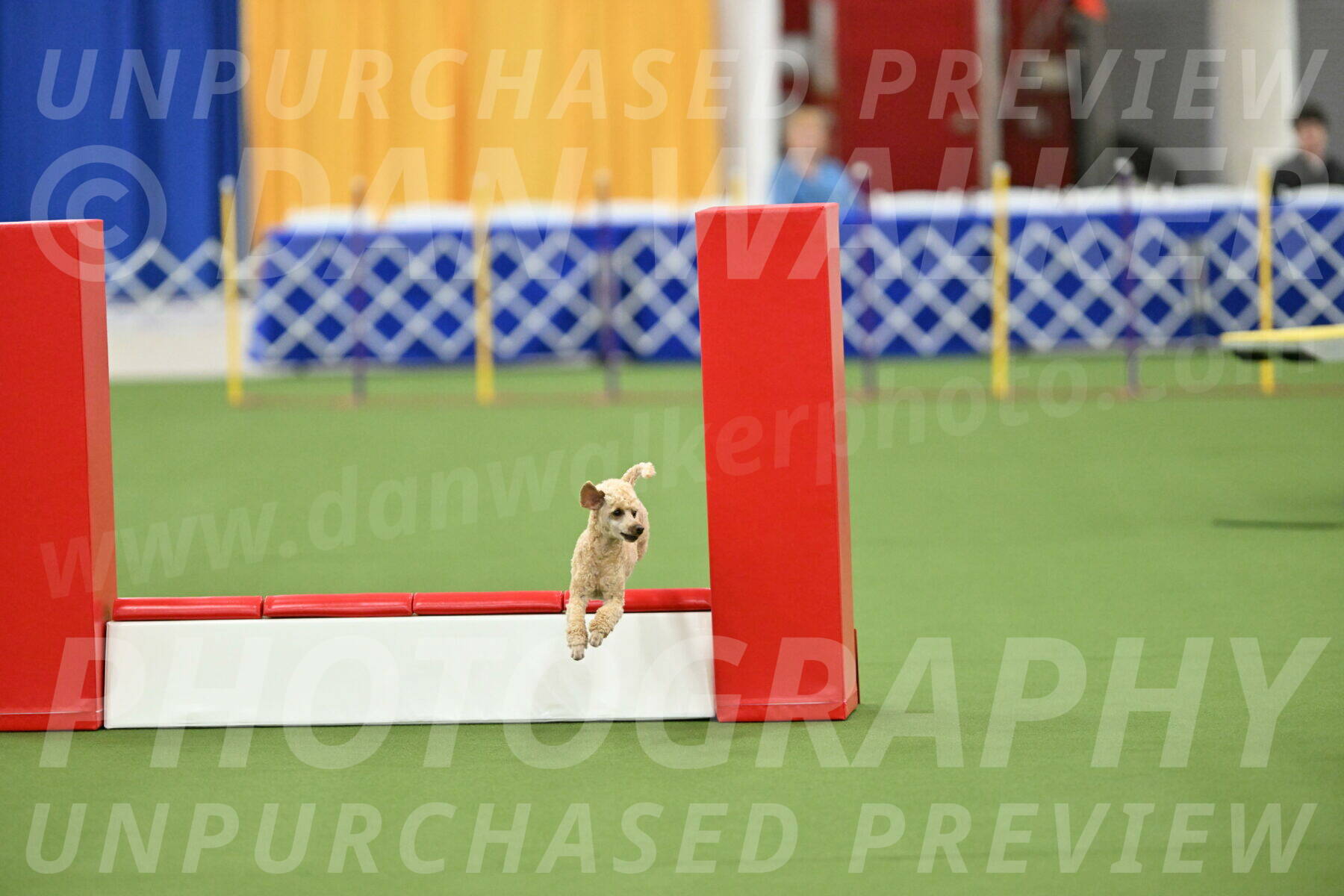 MAS-EX-STD-12-Inch_5296