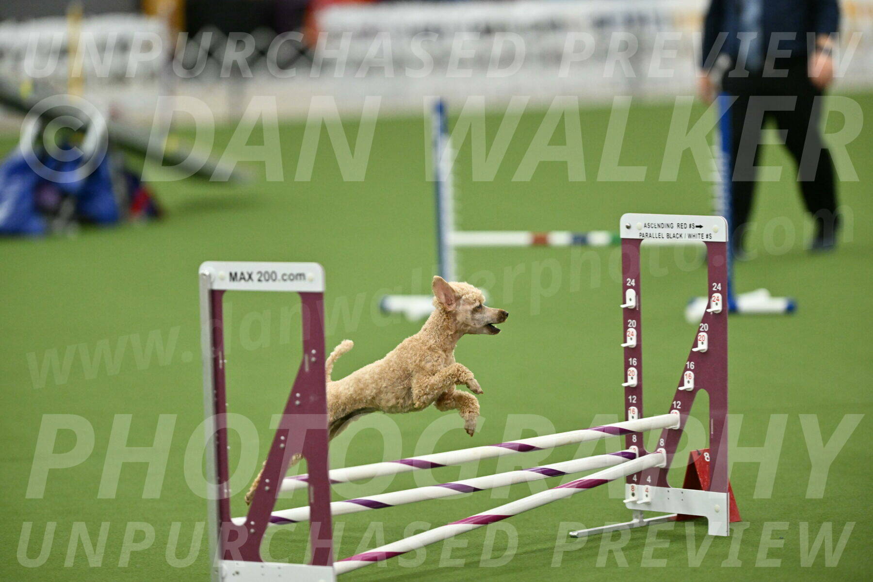 MAS-EX-STD-12-Inch_5300