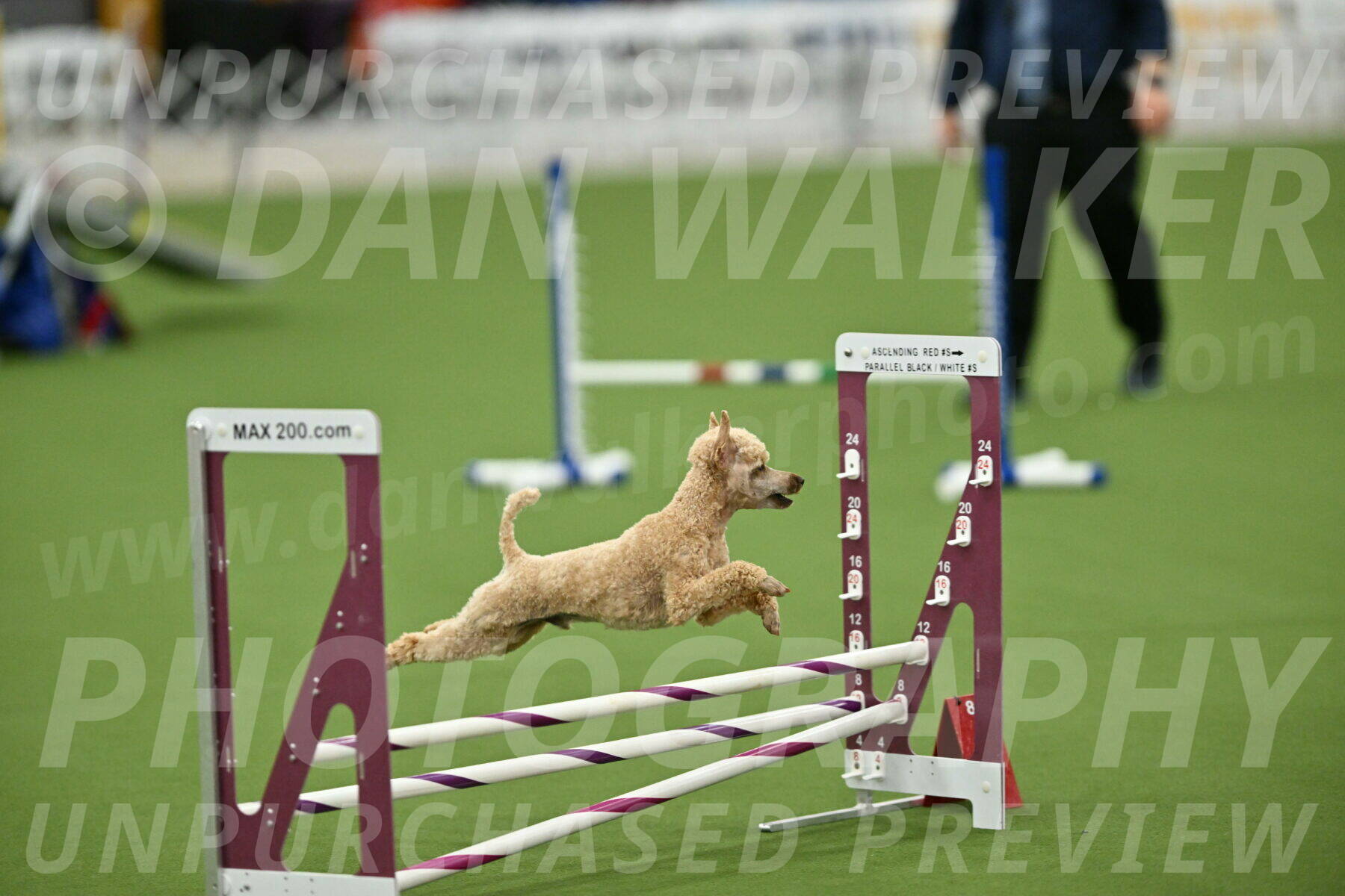 MAS-EX-STD-12-Inch_5301