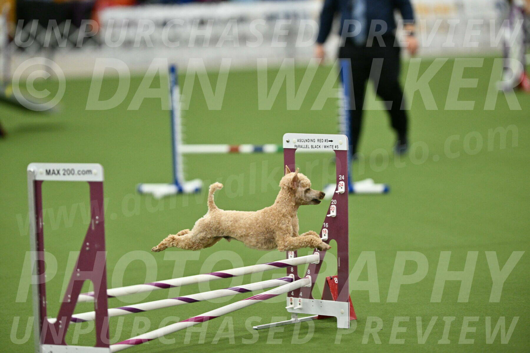 MAS-EX-STD-12-Inch_5302