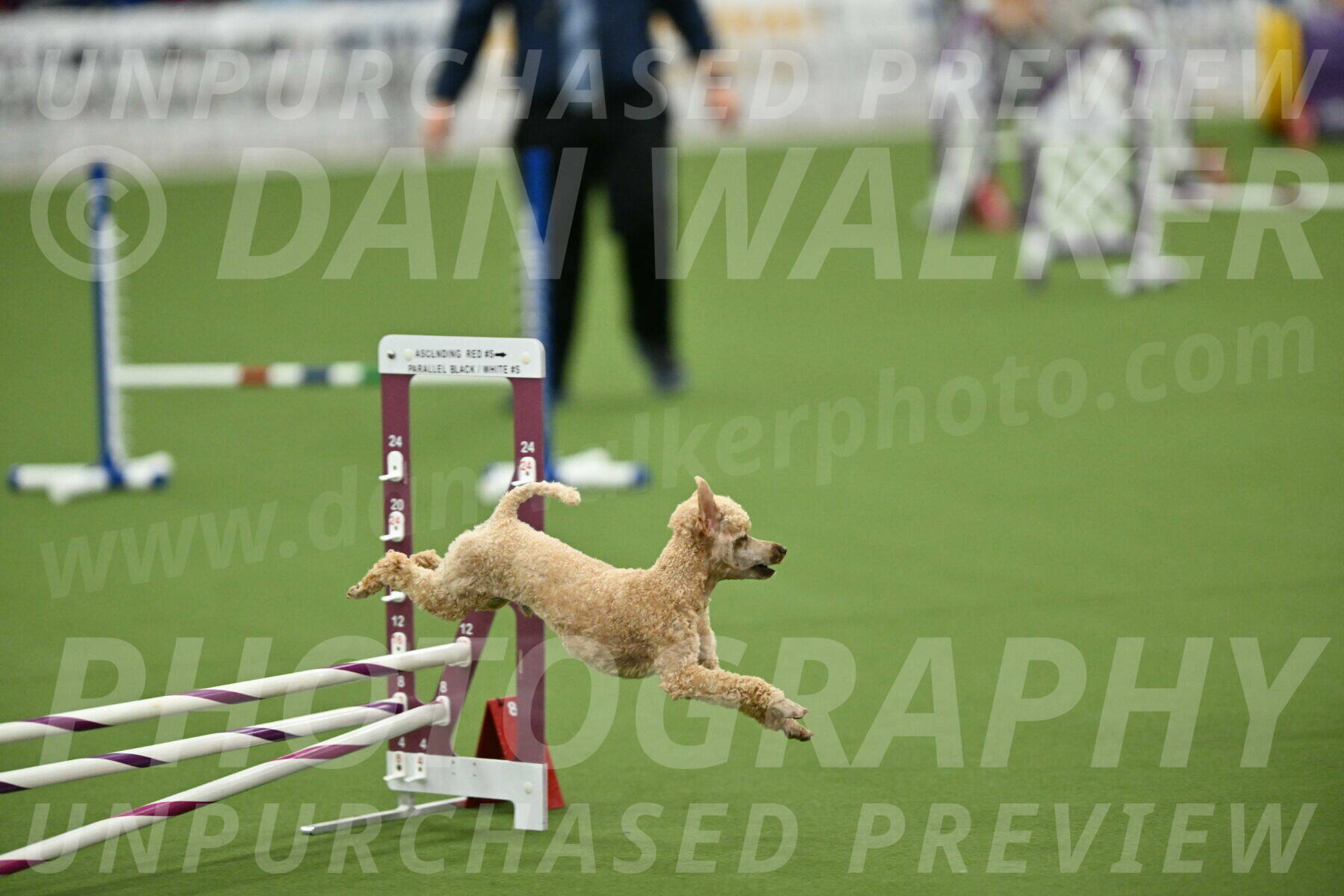 MAS-EX-STD-12-Inch_5304