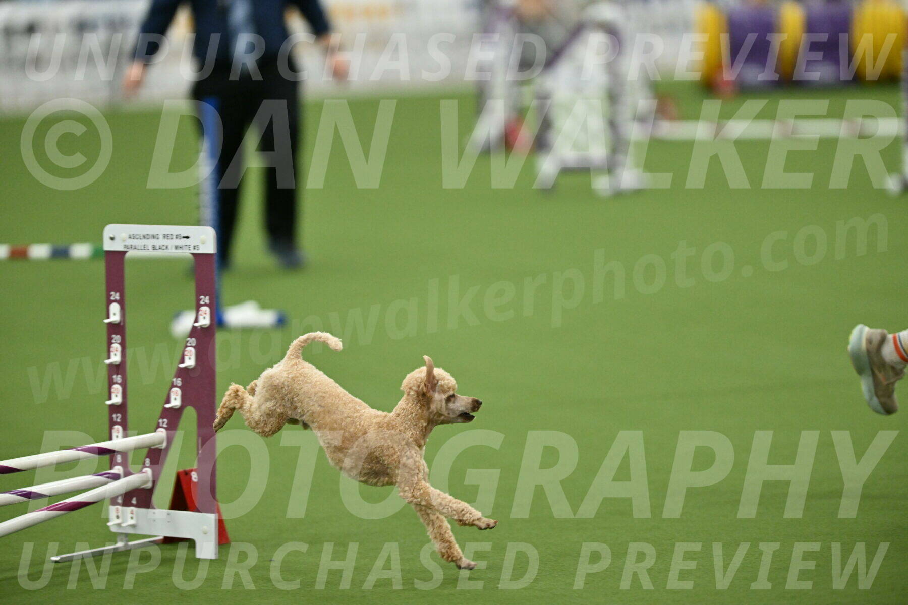 MAS-EX-STD-12-Inch_5305