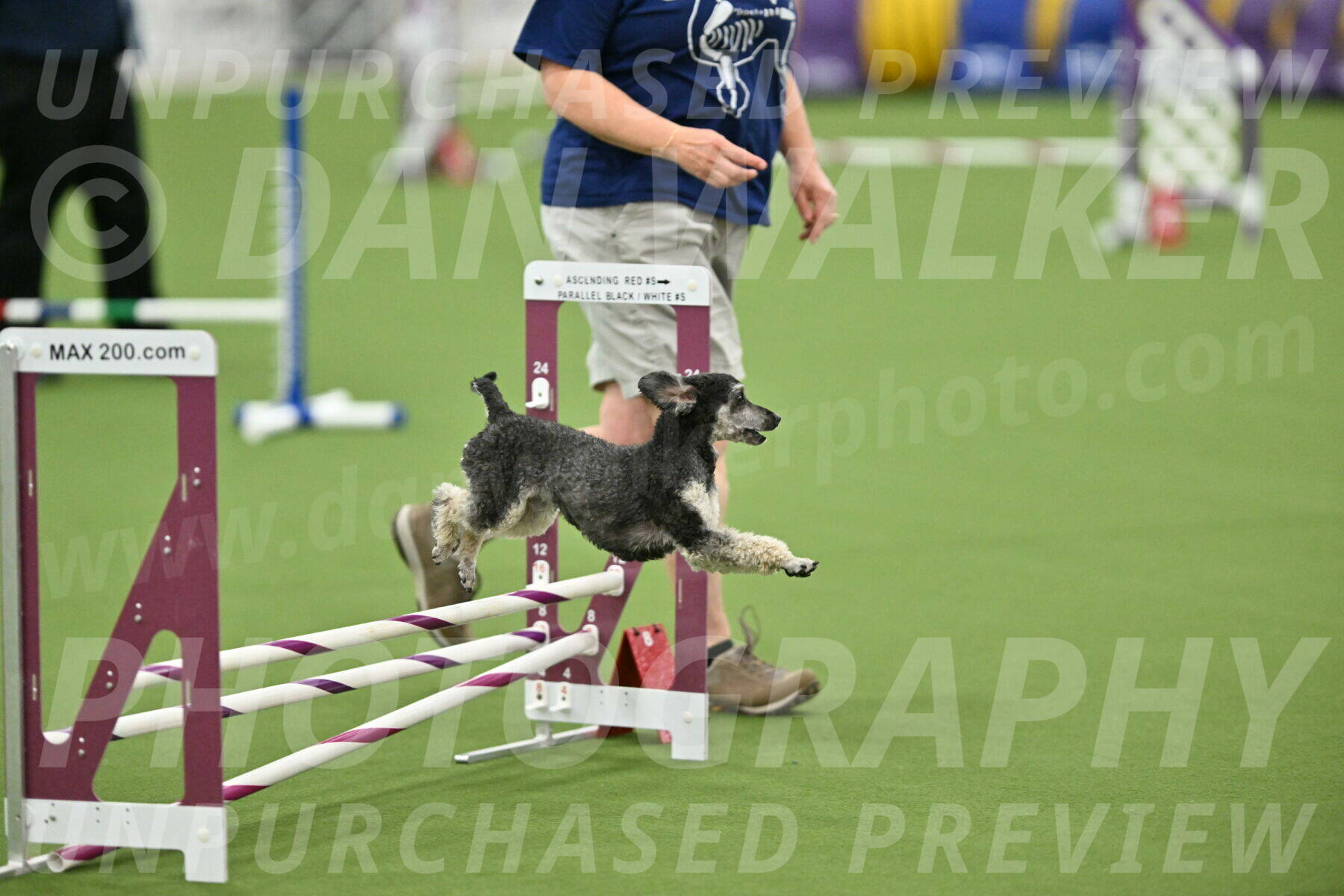 MAS-EX-STD-12-Inch_6240