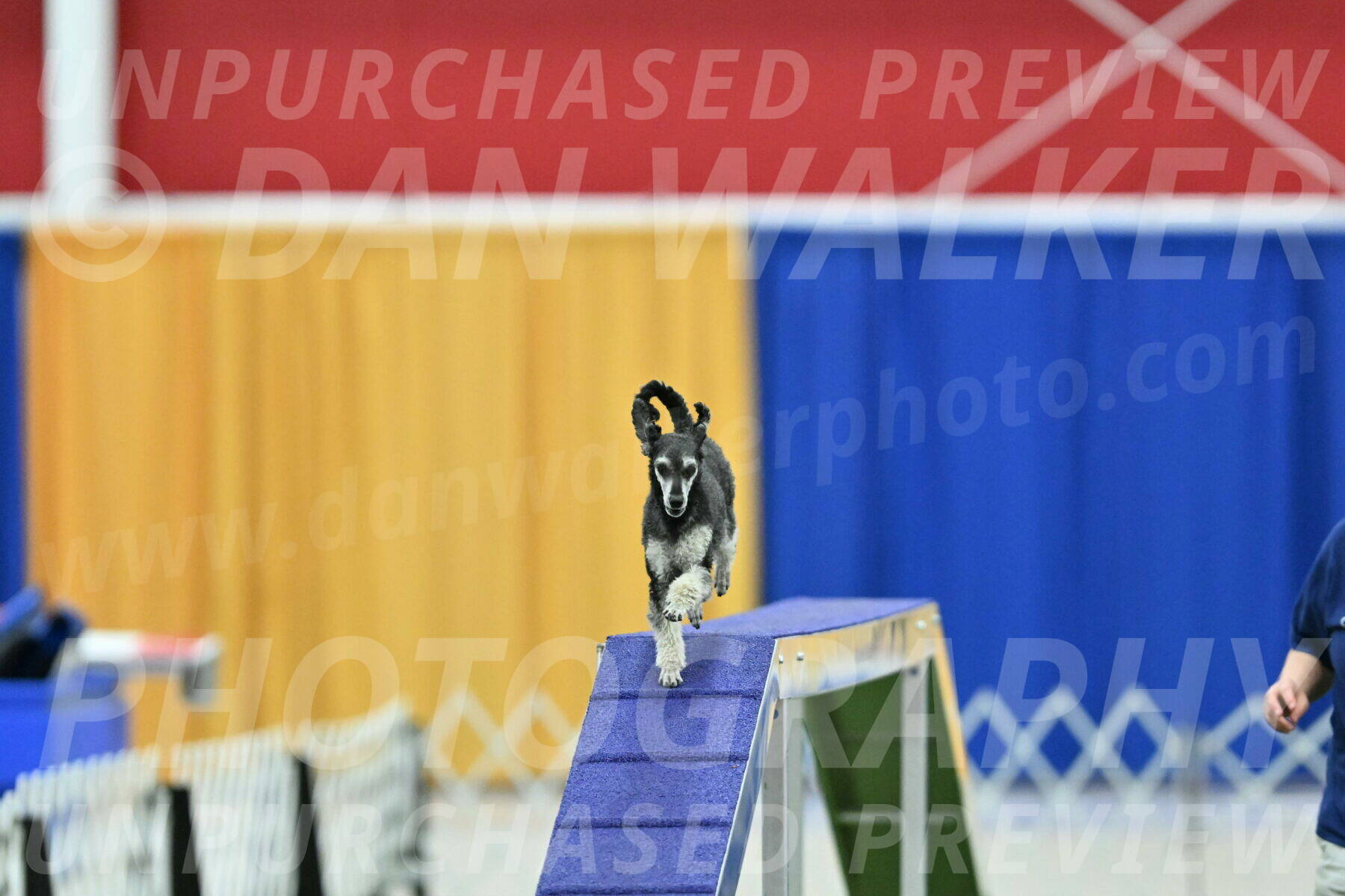 MAS-EX-STD-12-Inch_6241