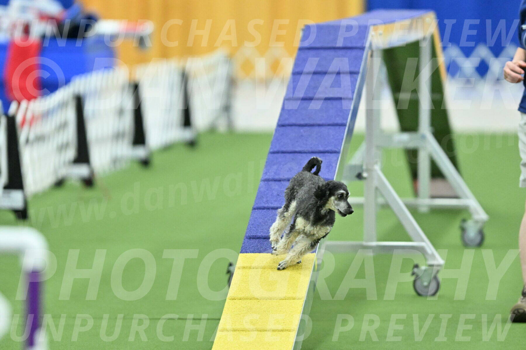 MAS-EX-STD-12-Inch_6246