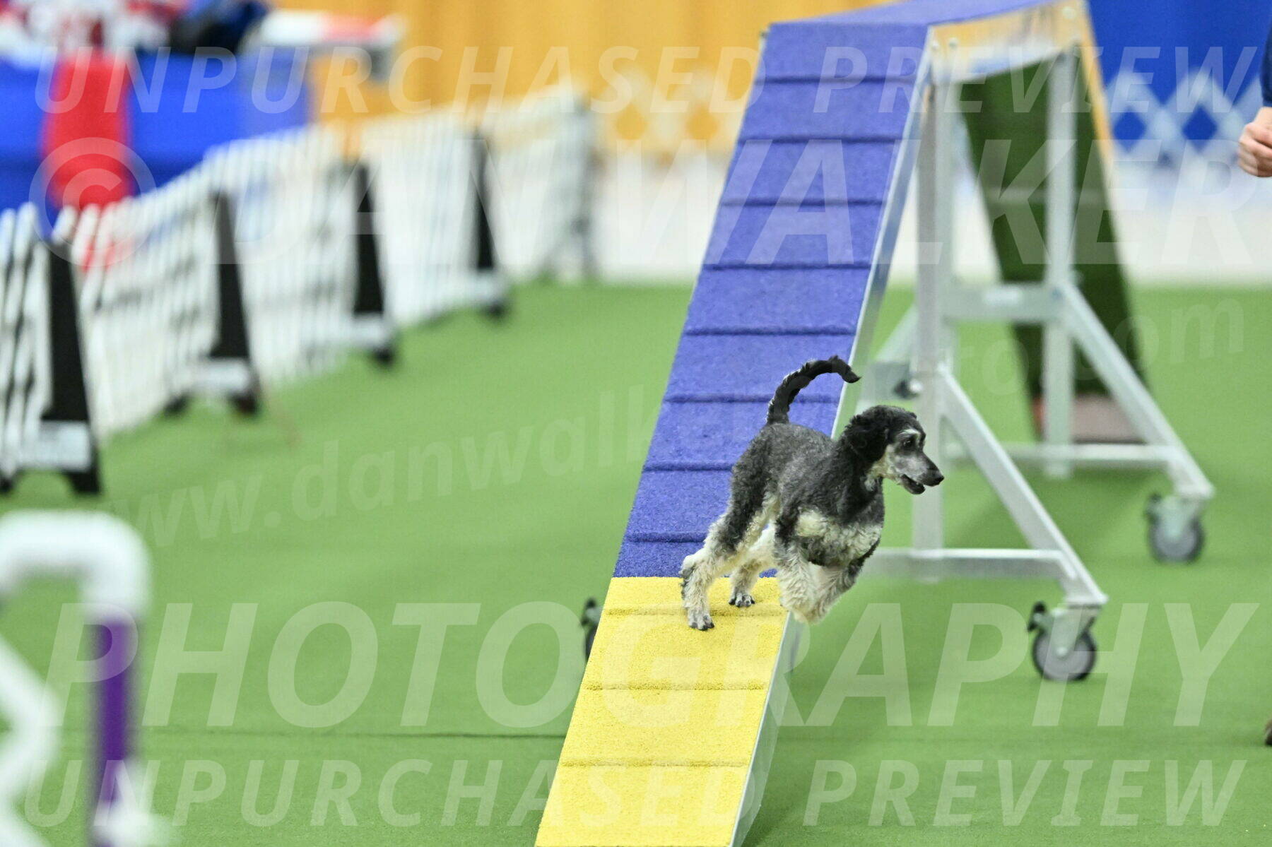 MAS-EX-STD-12-Inch_6247