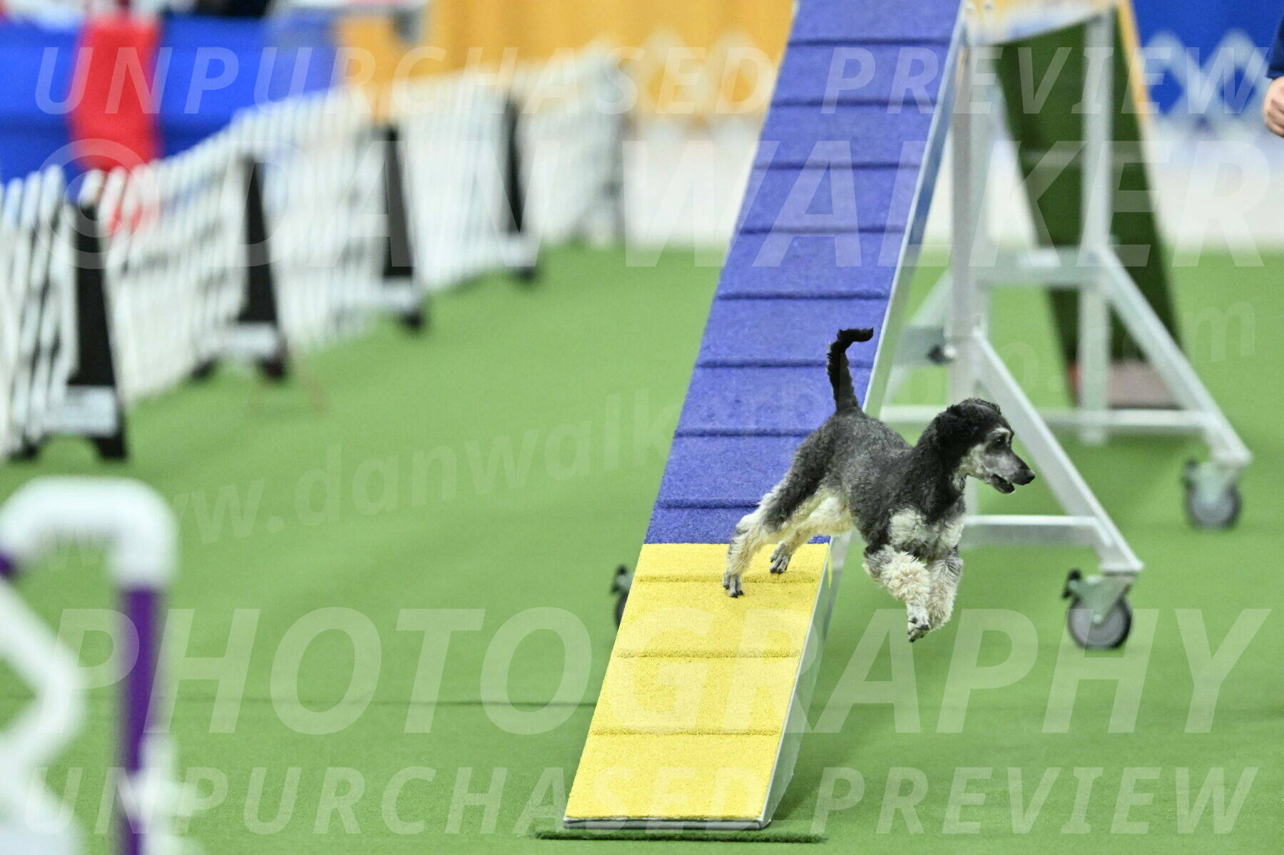 MAS-EX-STD-12-Inch_6248