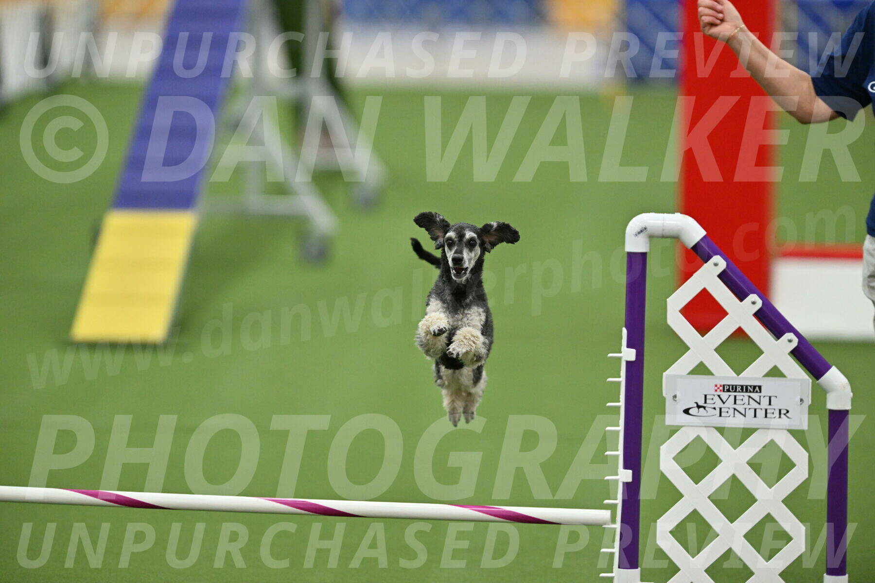 MAS-EX-STD-12-Inch_6249