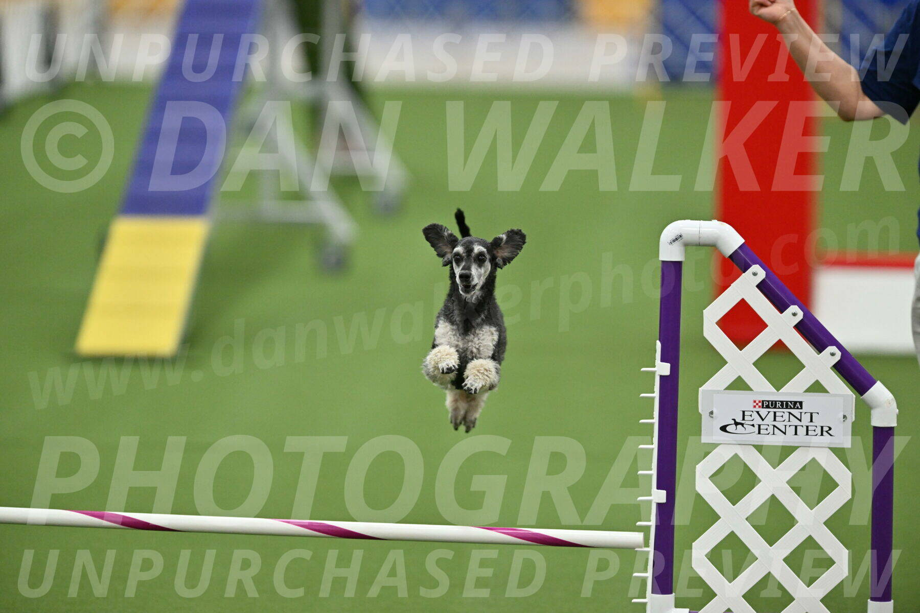 MAS-EX-STD-12-Inch_6250