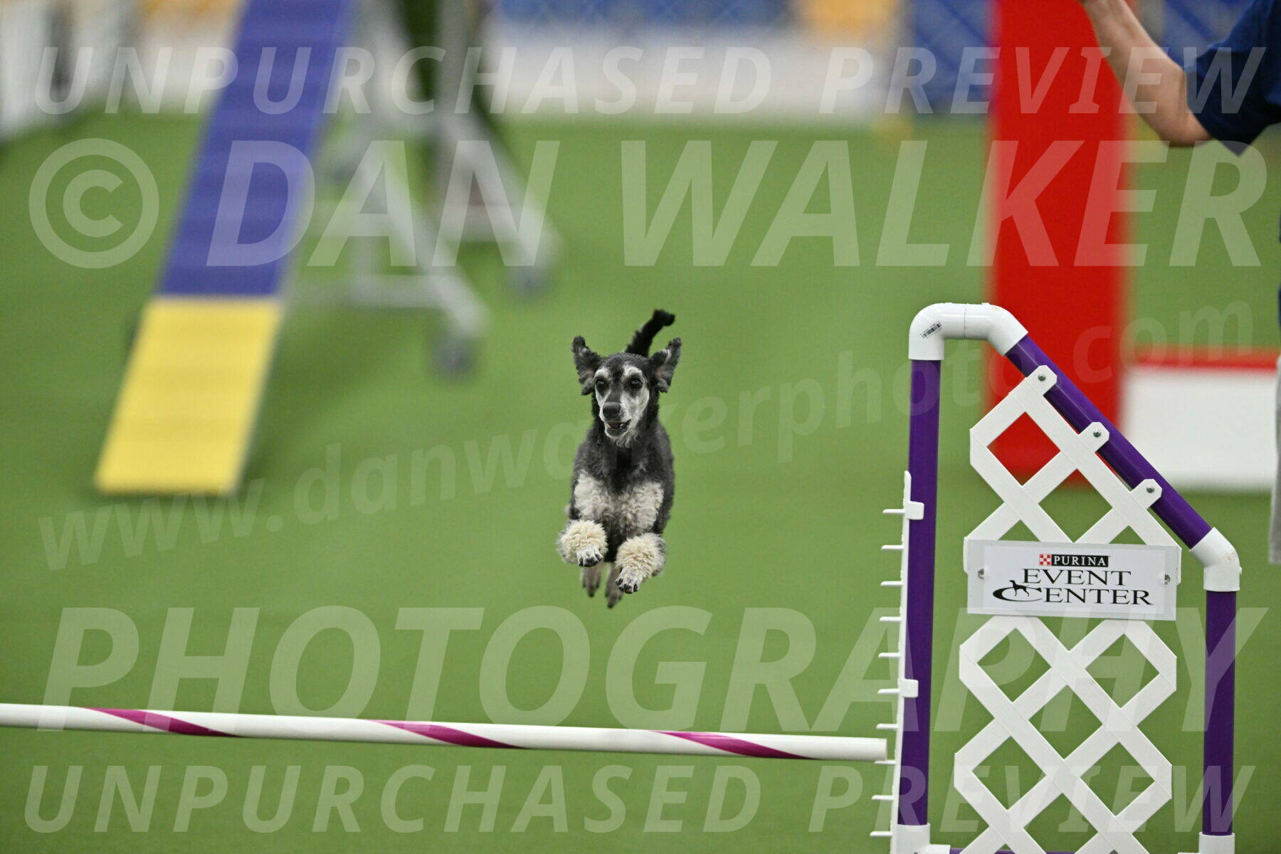 MAS-EX-STD-12-Inch_6251