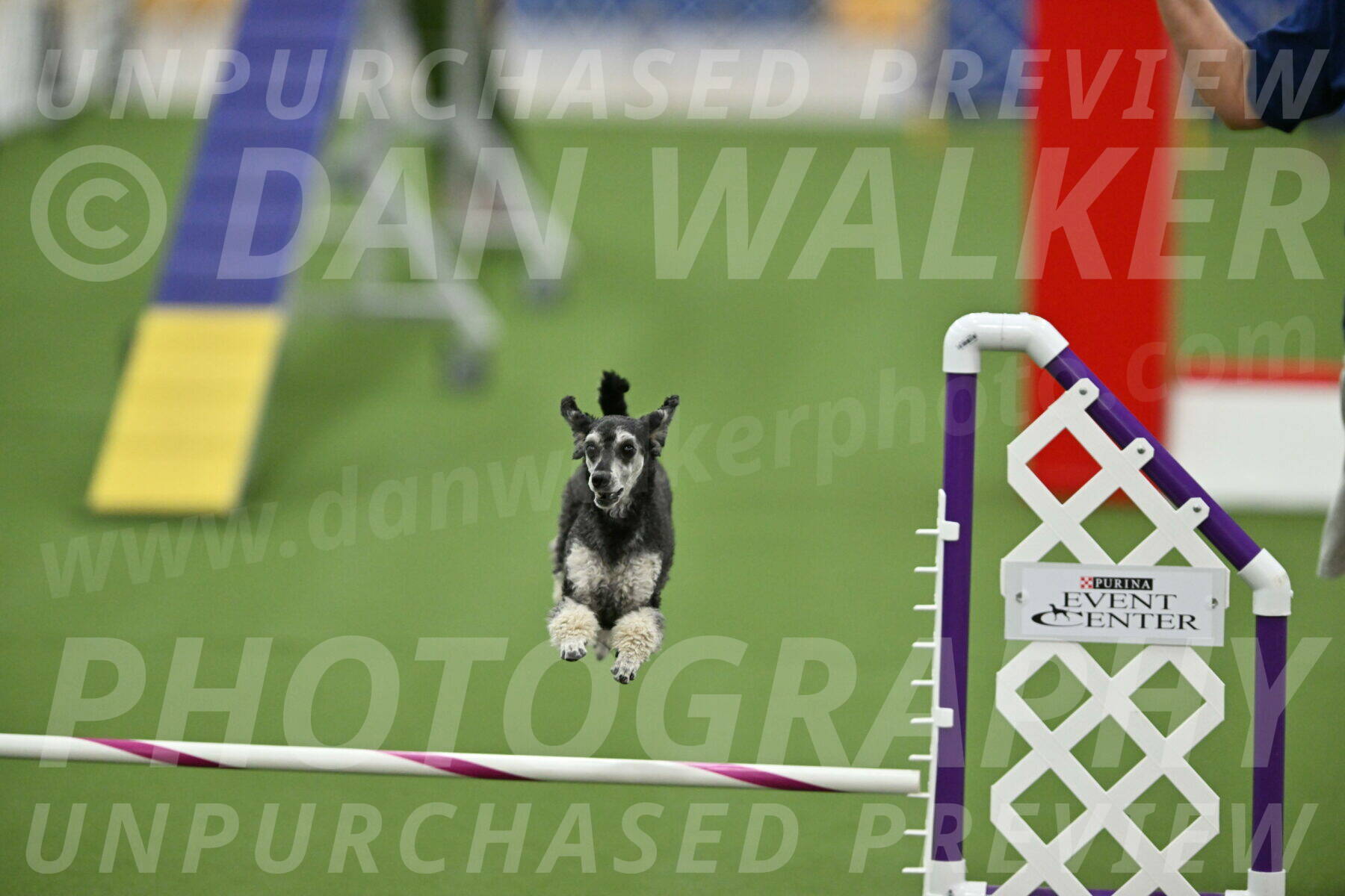 MAS-EX-STD-12-Inch_6252