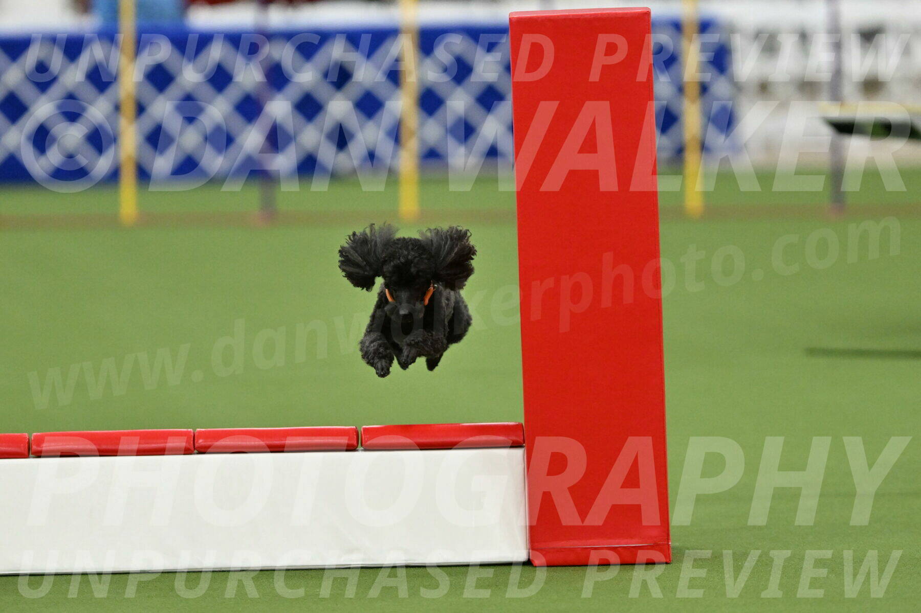 MAS-EX-STD-12-Inch_6273