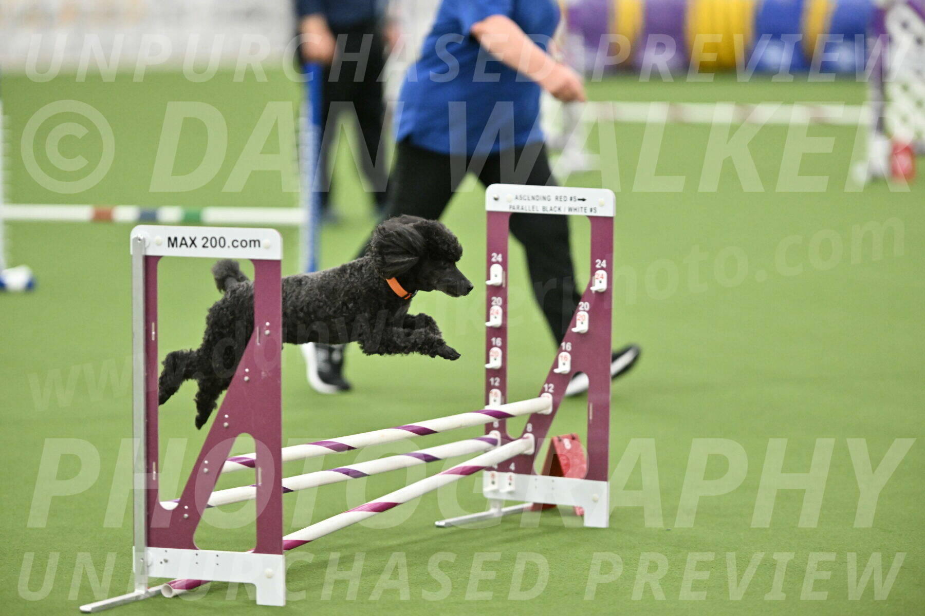 MAS-EX-STD-12-Inch_6282