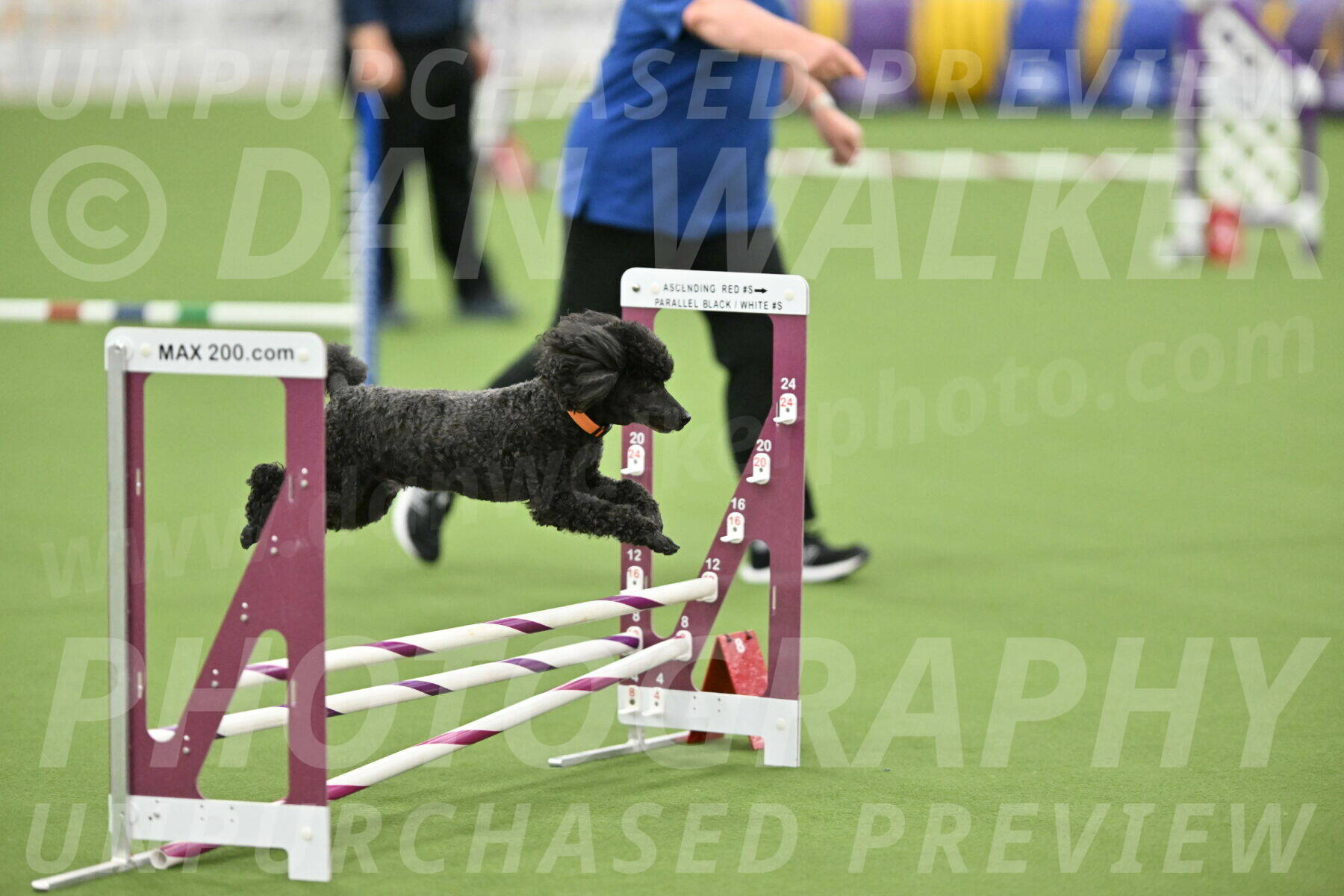 MAS-EX-STD-12-Inch_6283