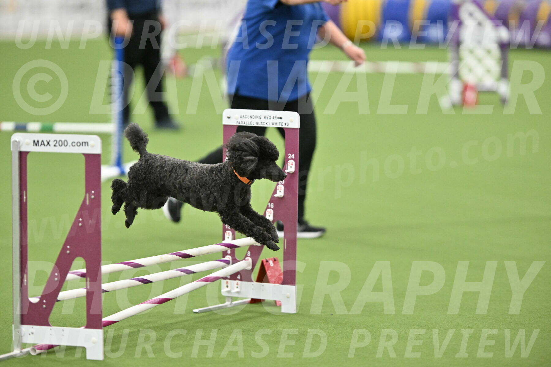 MAS-EX-STD-12-Inch_6284