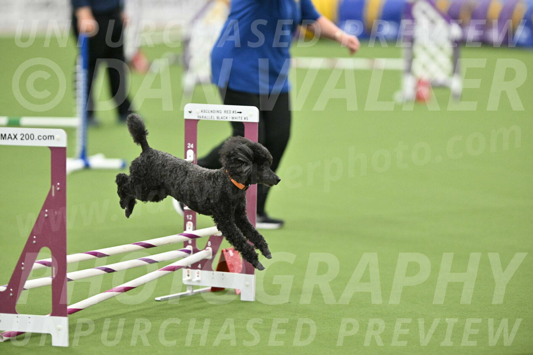 MAS-EX-STD-12-Inch_6285