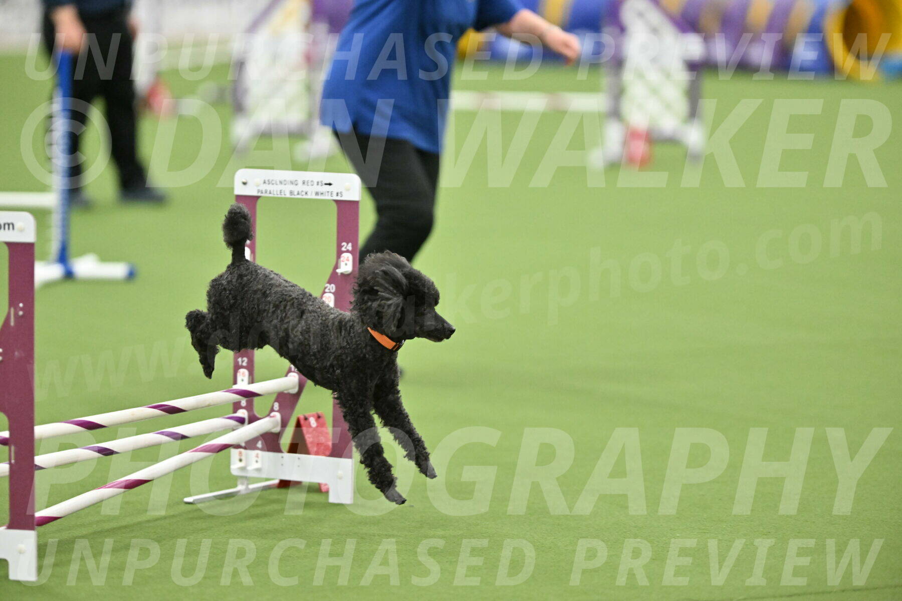 MAS-EX-STD-12-Inch_6286