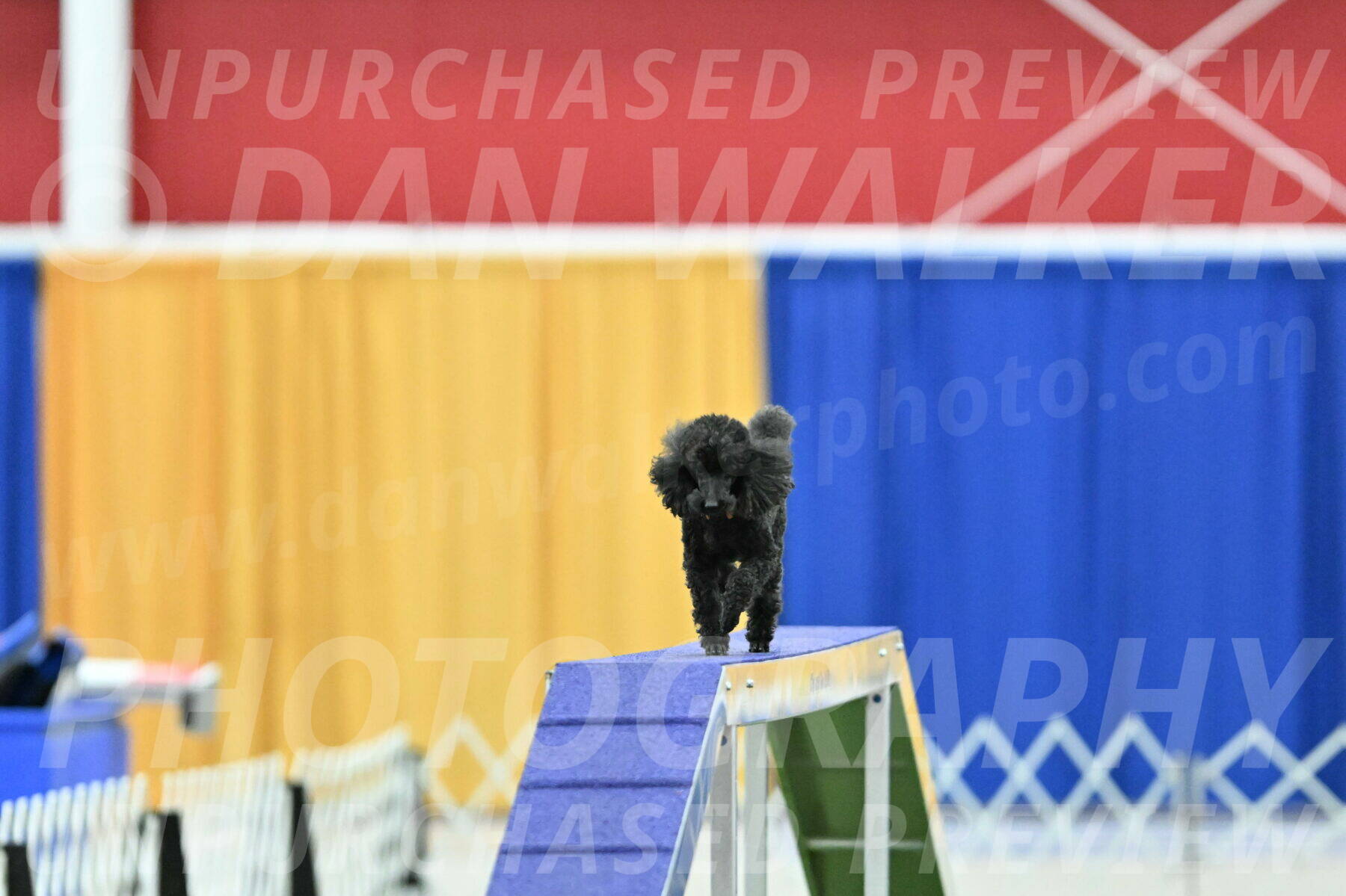 MAS-EX-STD-12-Inch_6288