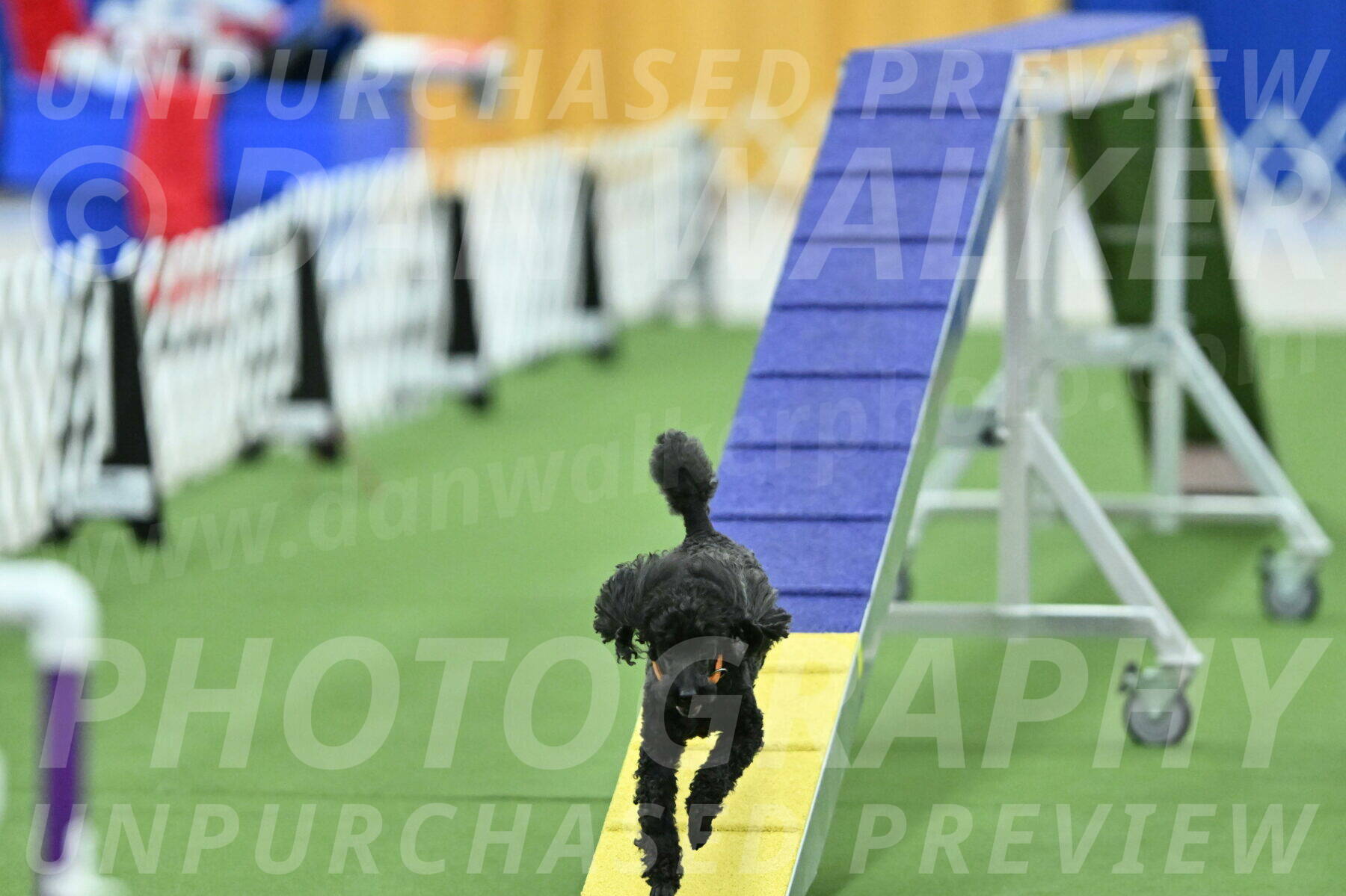 MAS-EX-STD-12-Inch_6297