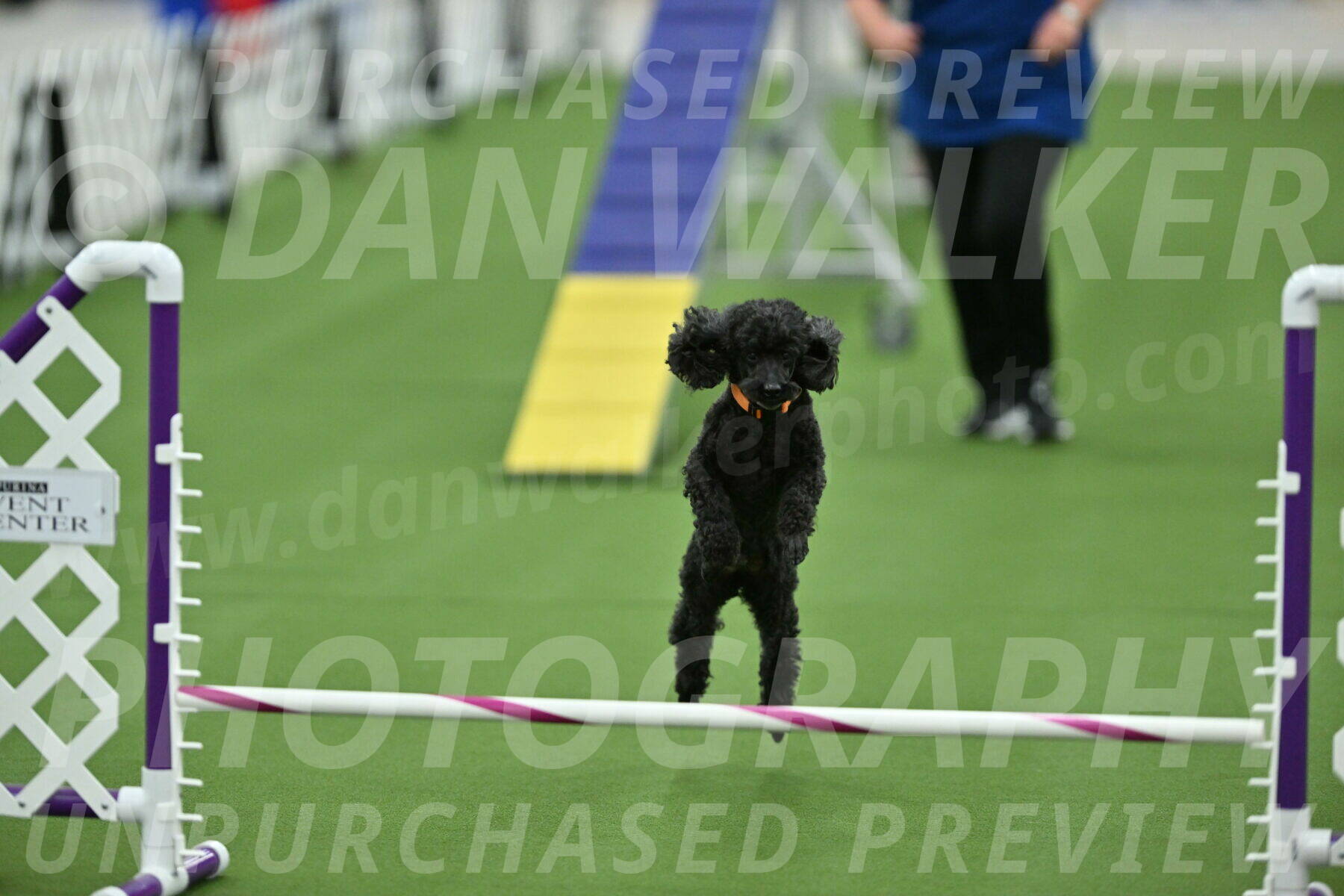 MAS-EX-STD-12-Inch_6302