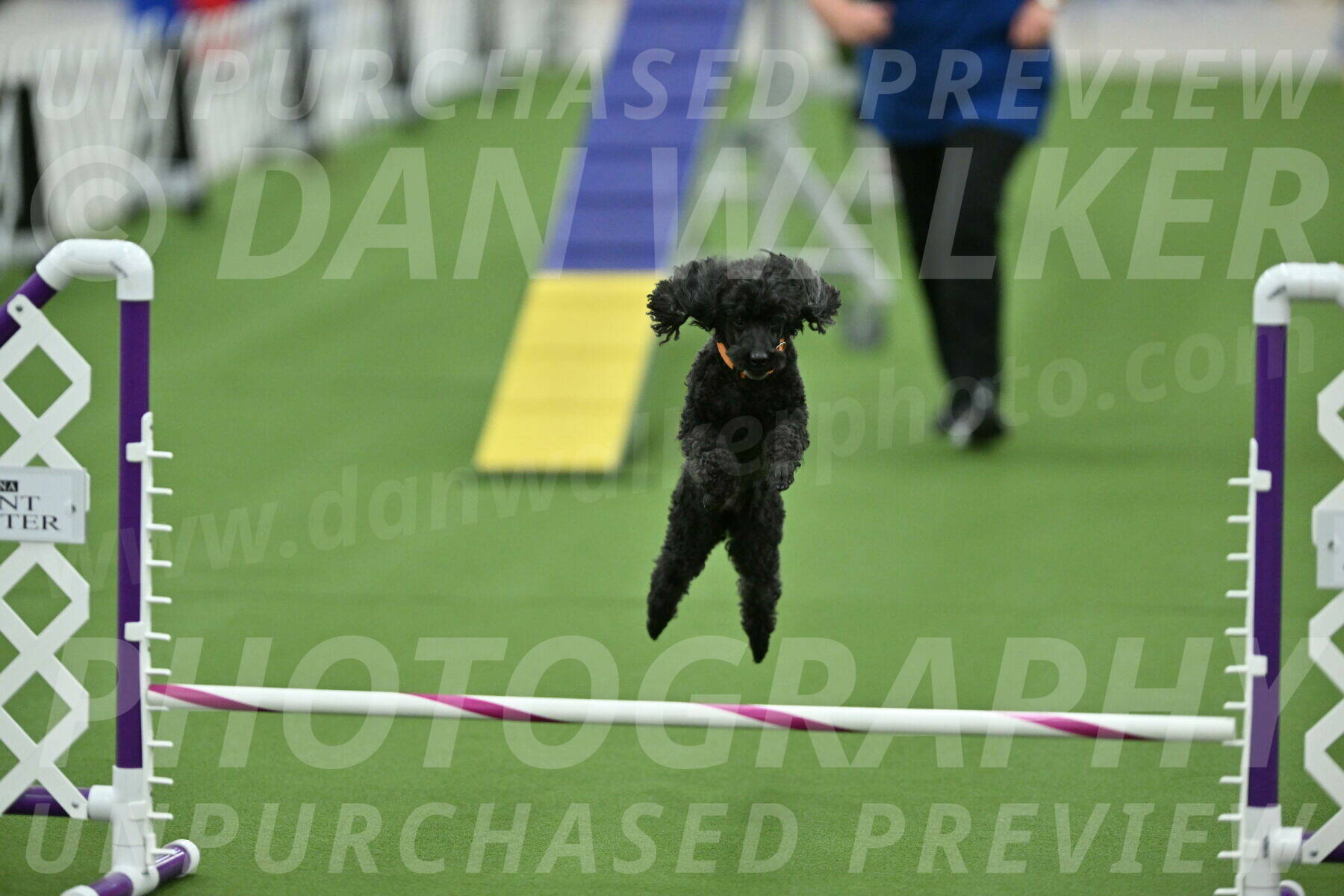 MAS-EX-STD-12-Inch_6303