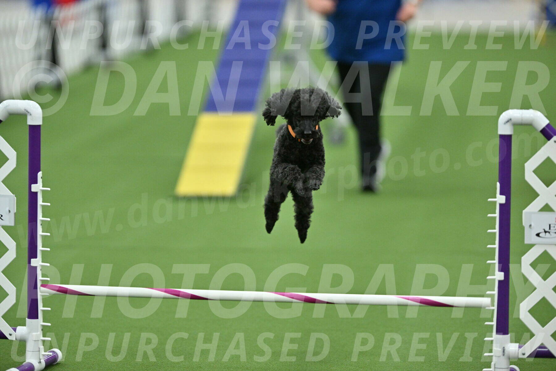 MAS-EX-STD-12-Inch_6305