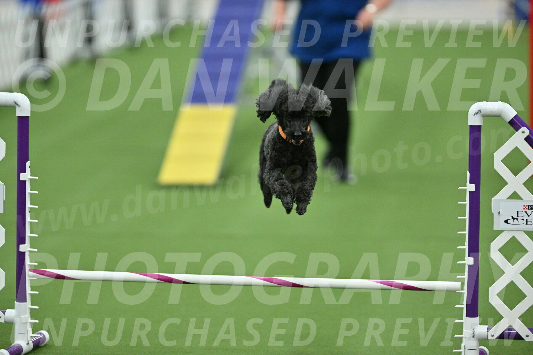 MAS-EX-STD-12-Inch_6307