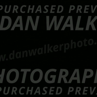 MAS-EX-STD-16-Inch_6309