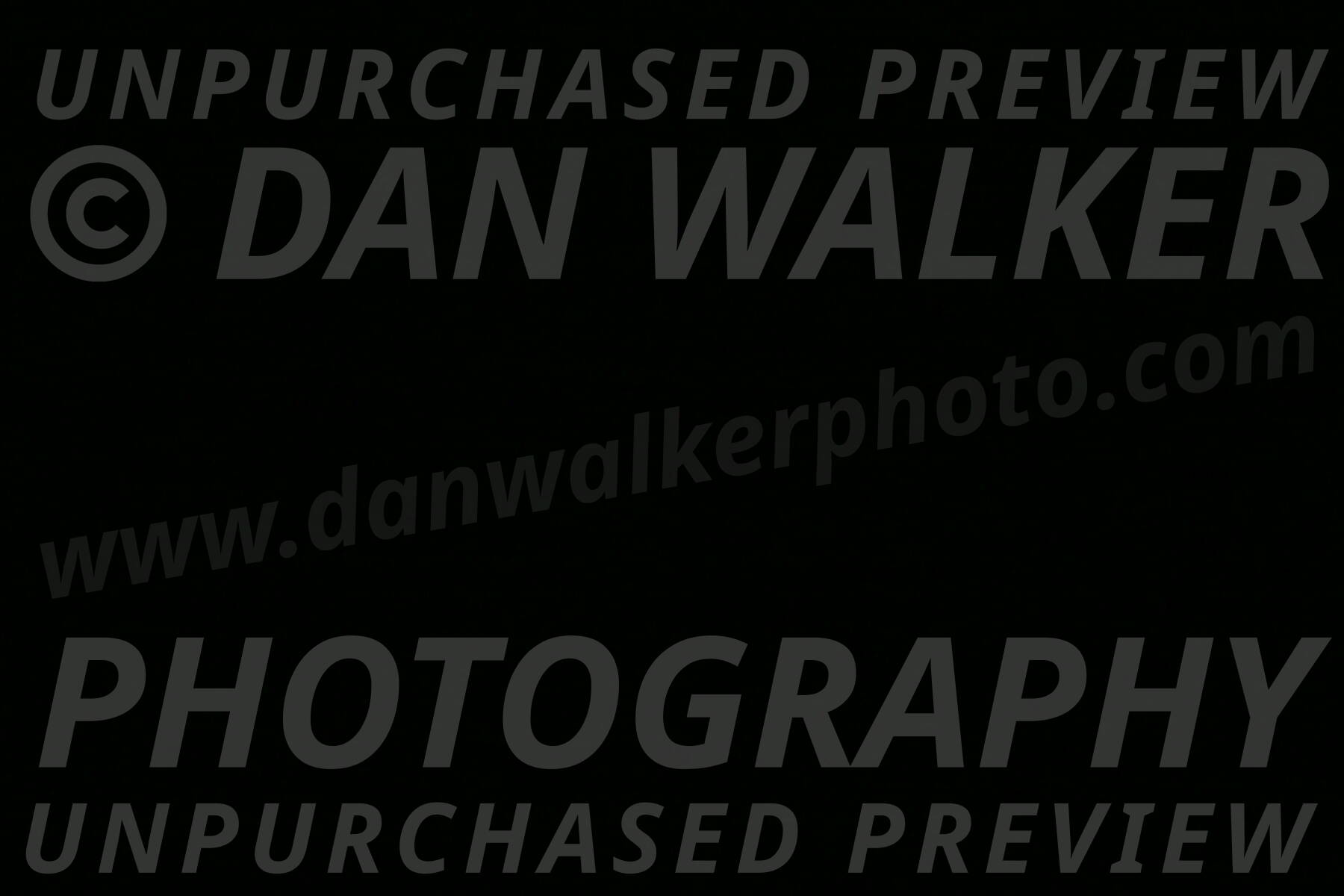 MAS-EX-STD-16-Inch_6309