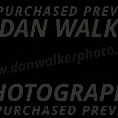 MAS-EX-STD-16-Inch_6310