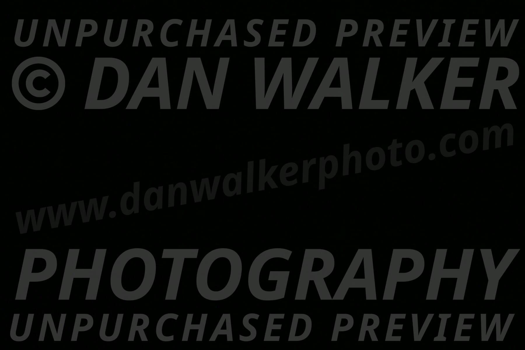 MAS-EX-STD-16-Inch_6310