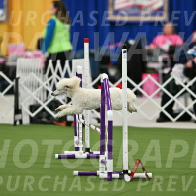 MAS-EX-STD-16-Inch_6324