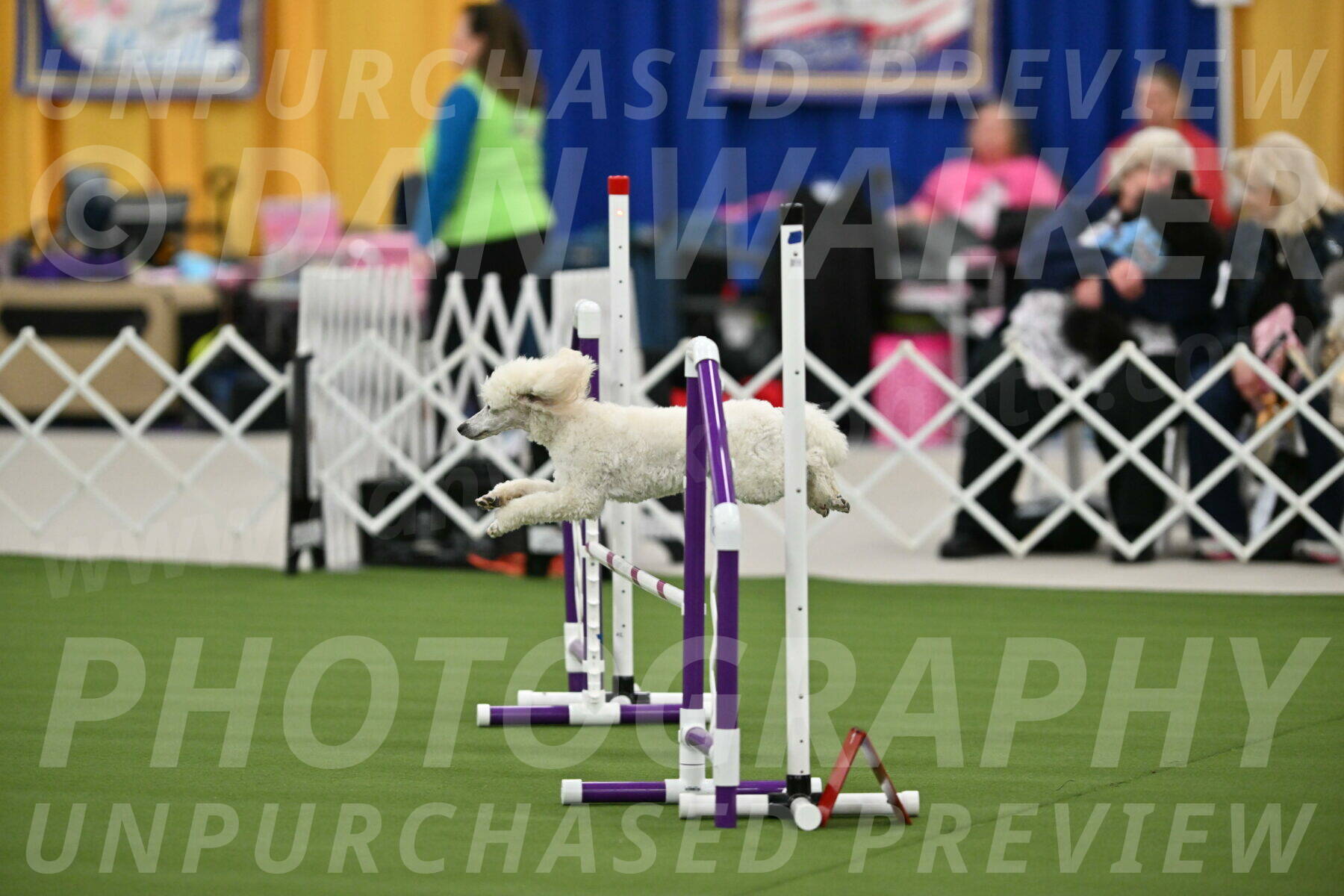 MAS-EX-STD-16-Inch_6324