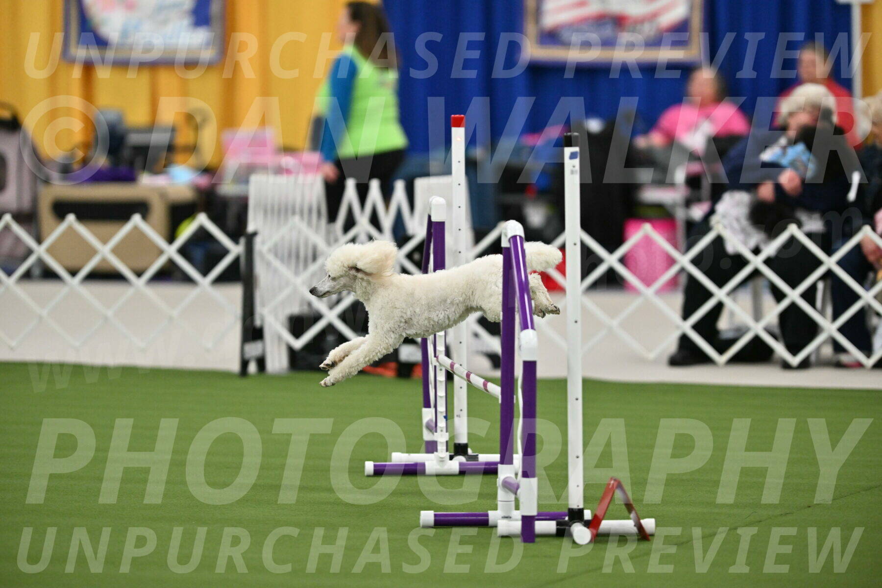 MAS-EX-STD-16-Inch_6325