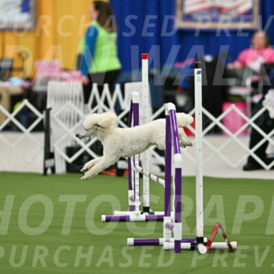 MAS-EX-STD-16-Inch_6325