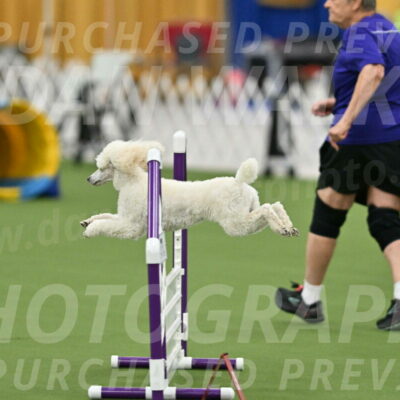 MAS-EX-STD-16-Inch_6328