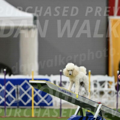 MAS-EX-STD-16-Inch_6336