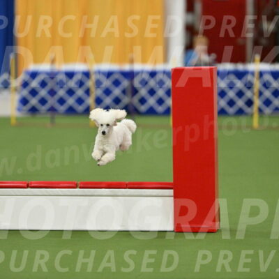 MAS-EX-STD-16-Inch_6350