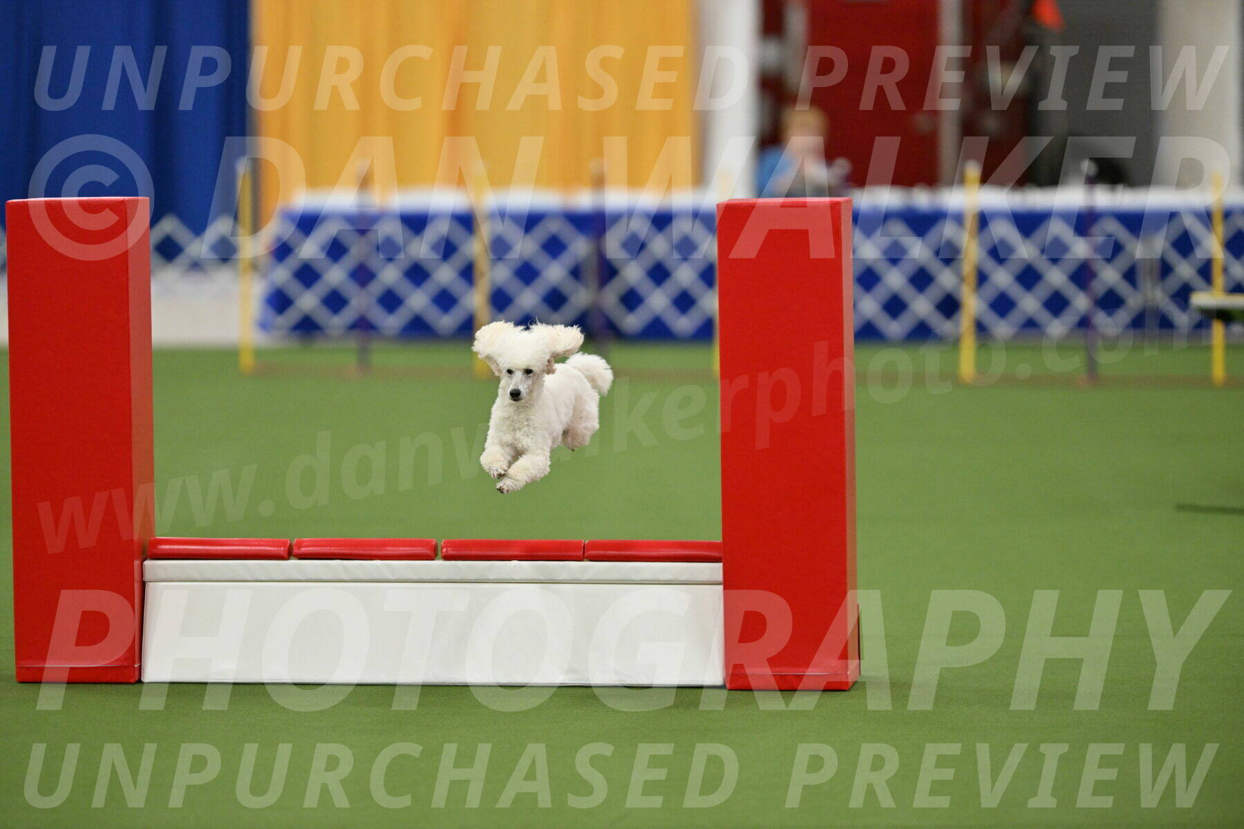 MAS-EX-STD-16-Inch_6350