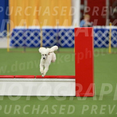 MAS-EX-STD-16-Inch_6351