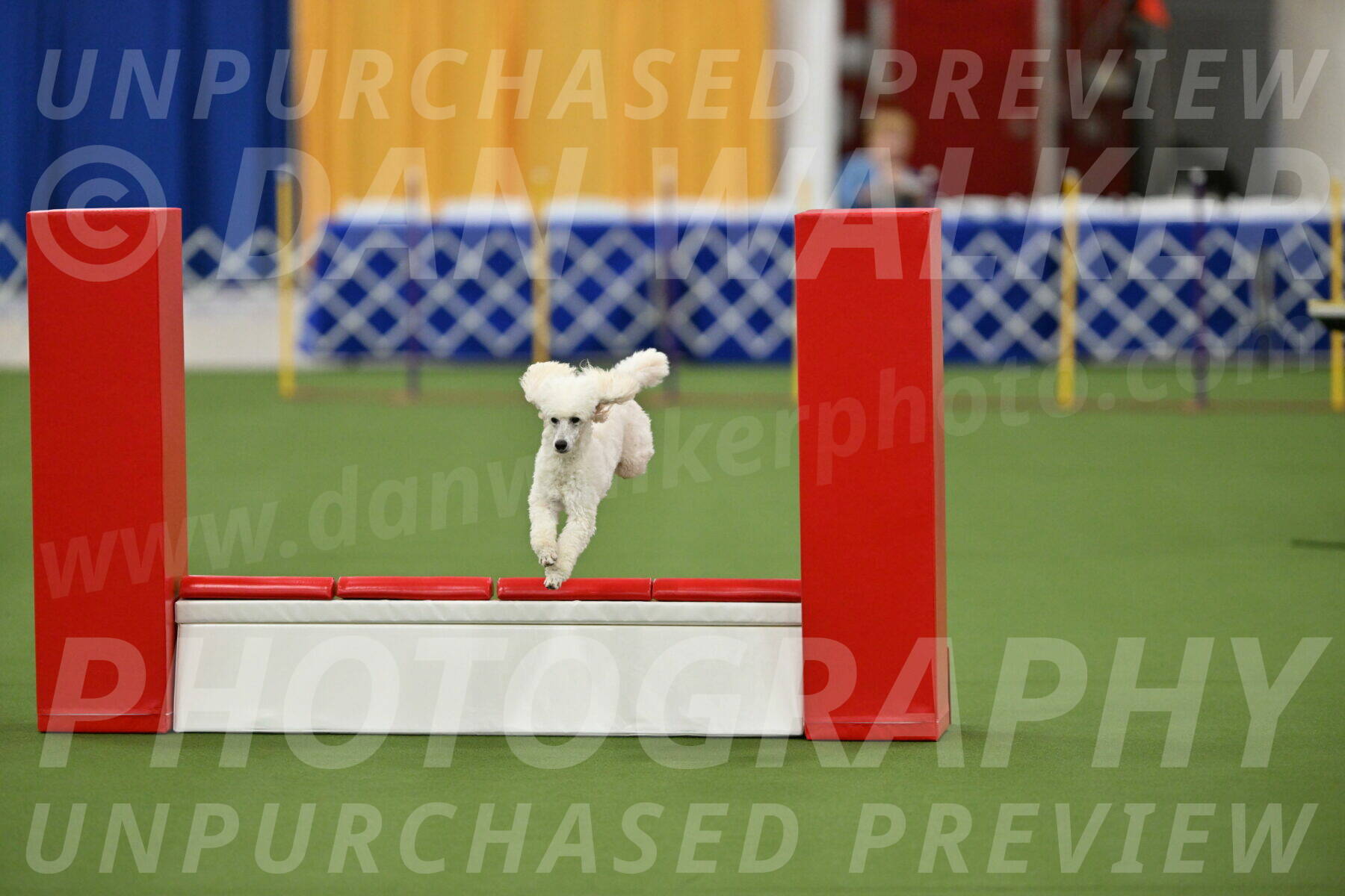 MAS-EX-STD-16-Inch_6351