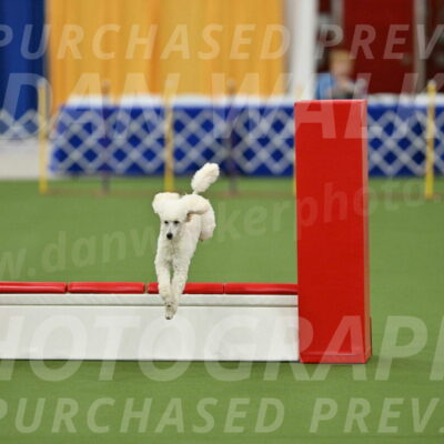 MAS-EX-STD-16-Inch_6352