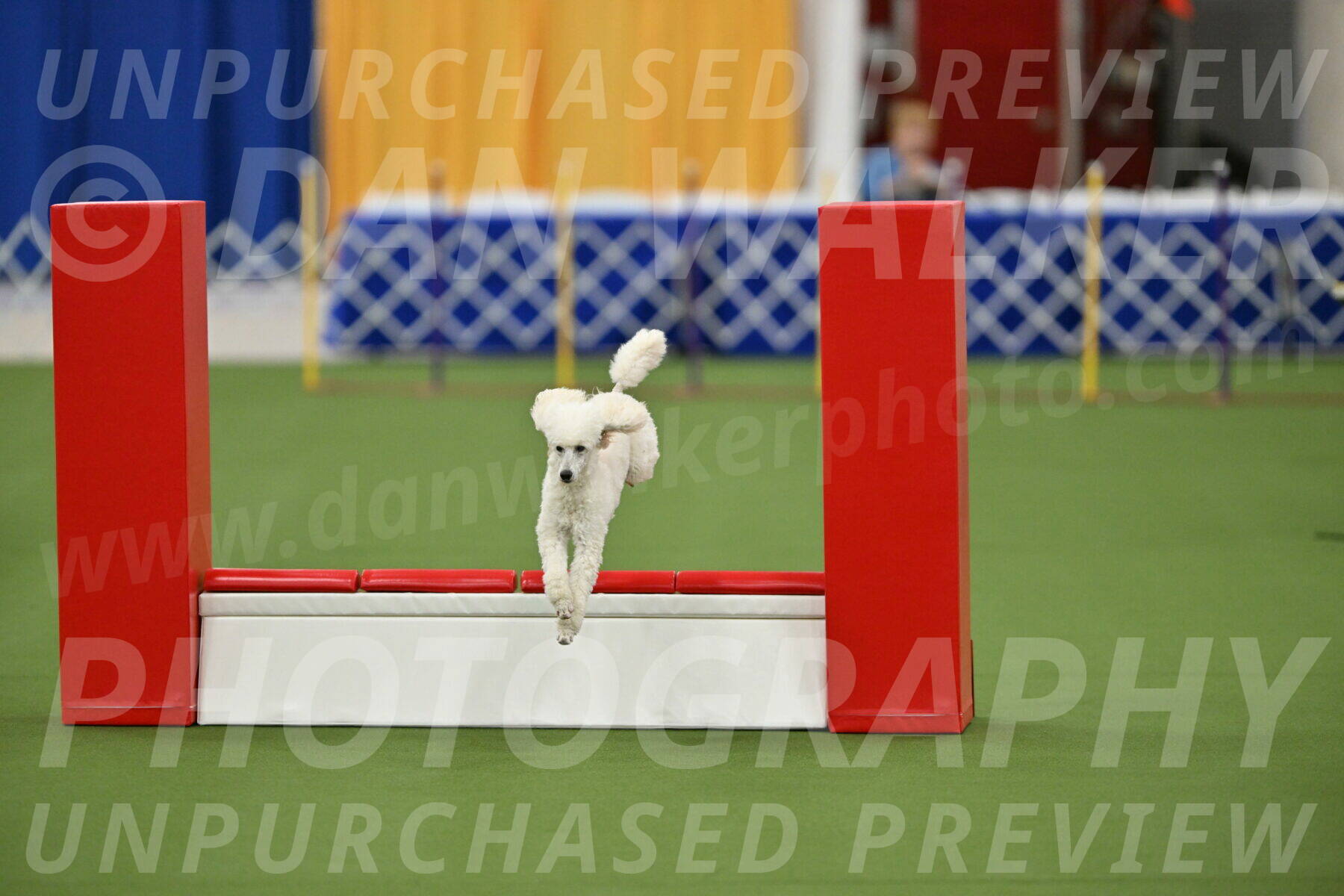 MAS-EX-STD-16-Inch_6352