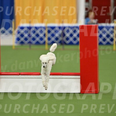 MAS-EX-STD-16-Inch_6353