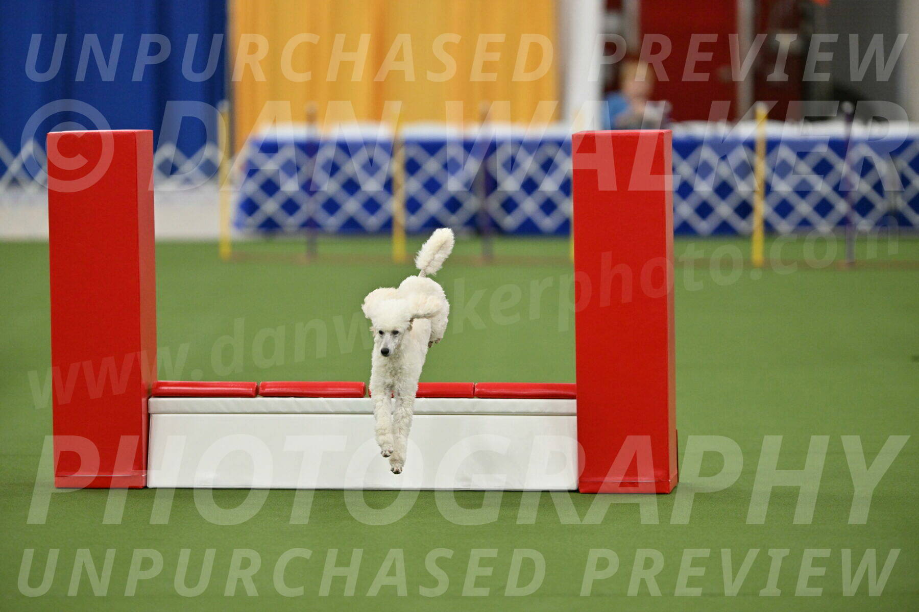 MAS-EX-STD-16-Inch_6353