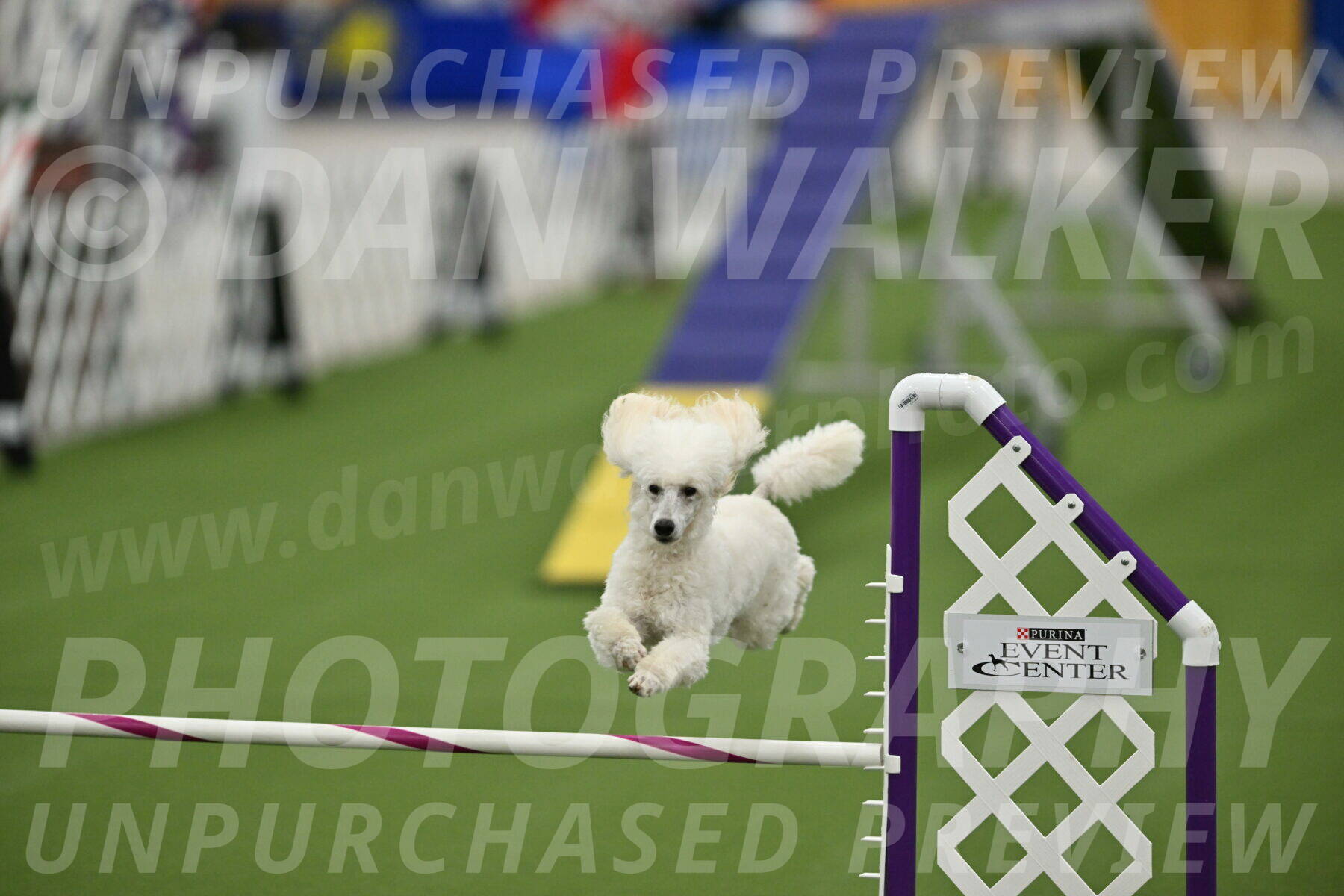 MAS-EX-STD-16-Inch_6355