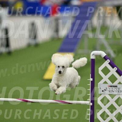 MAS-EX-STD-16-Inch_6355