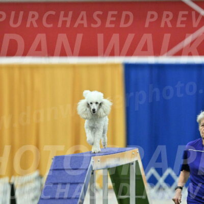 MAS-EX-STD-16-Inch_6363