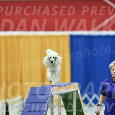 MAS-EX-STD-16-Inch_6364