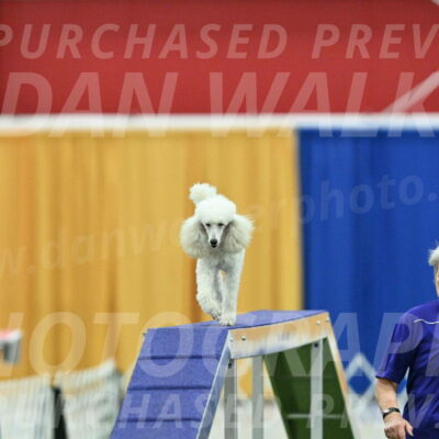 MAS-EX-STD-16-Inch_6368